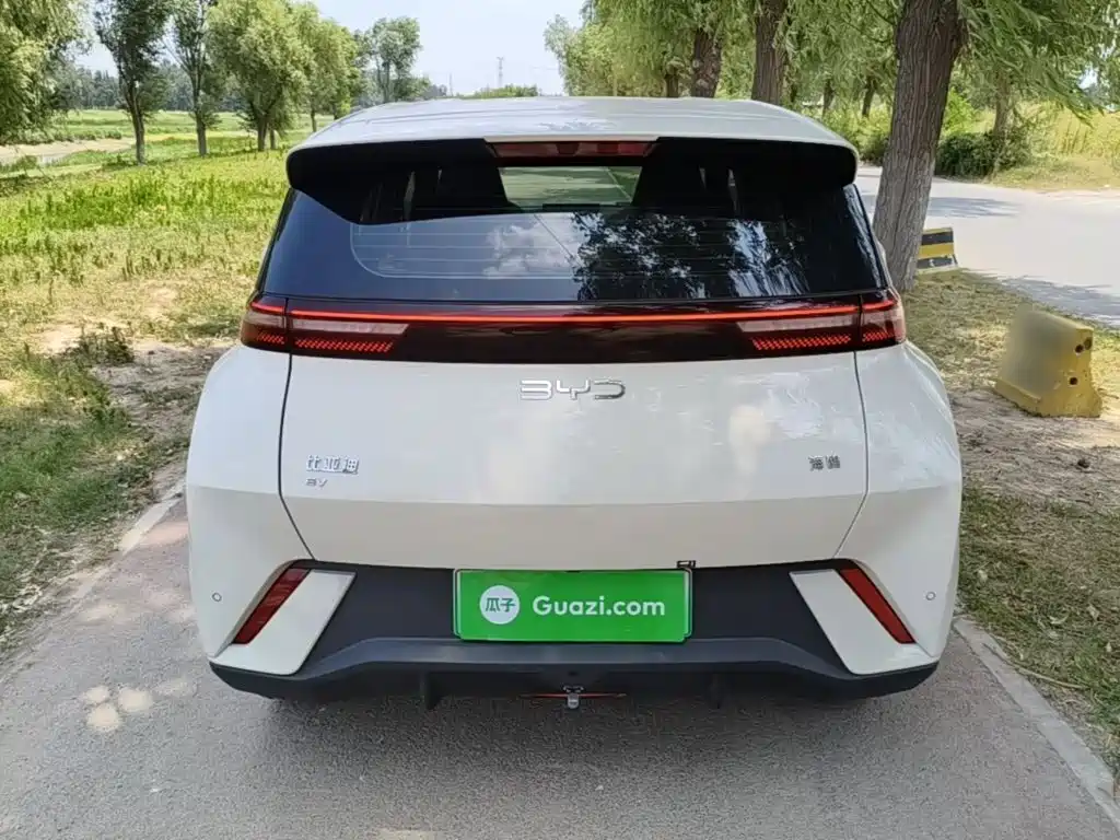 BYD Seagull 2024 305km
