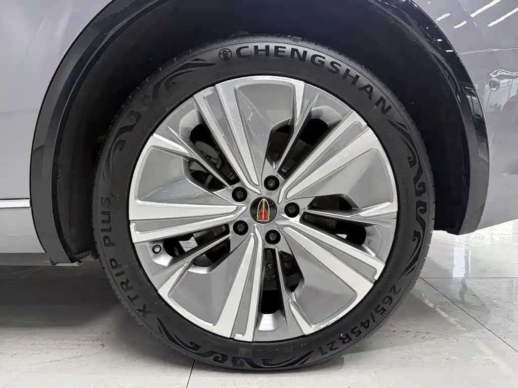 Hongqi E-HS9 2022 690km мест