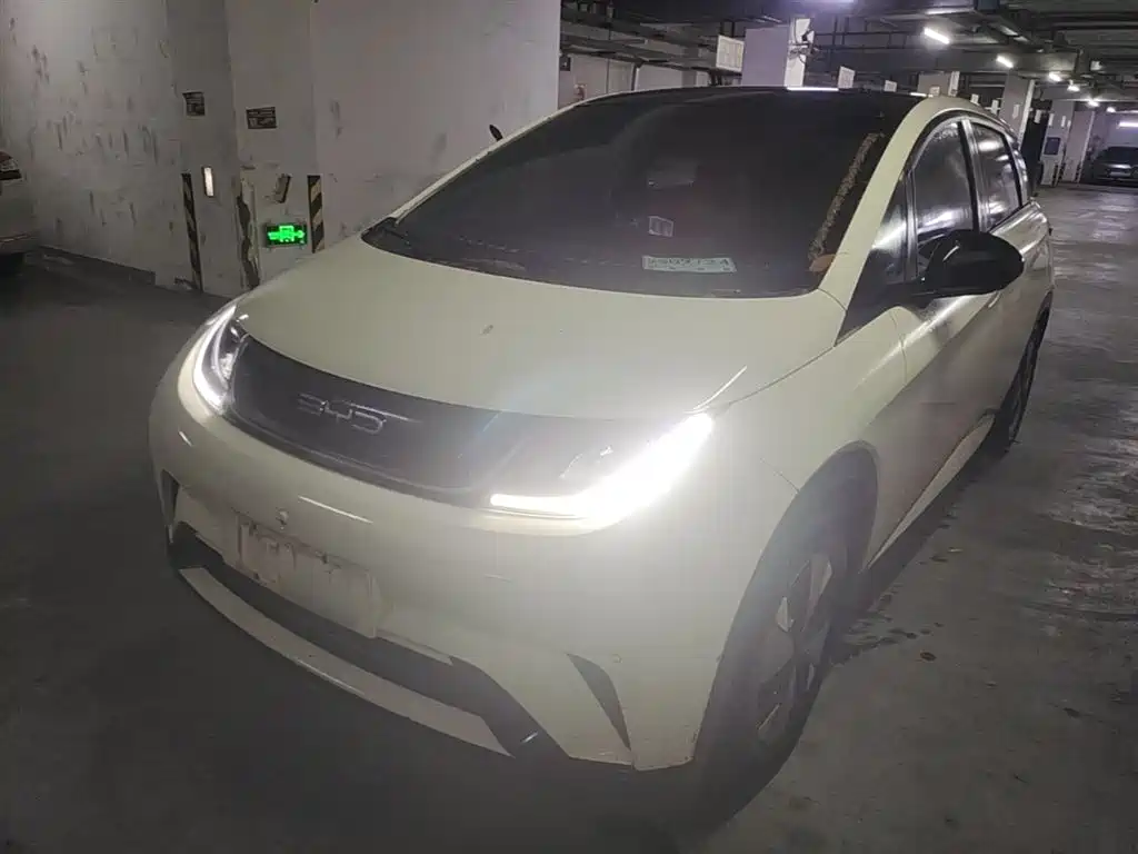 Byd Dolphin 2024