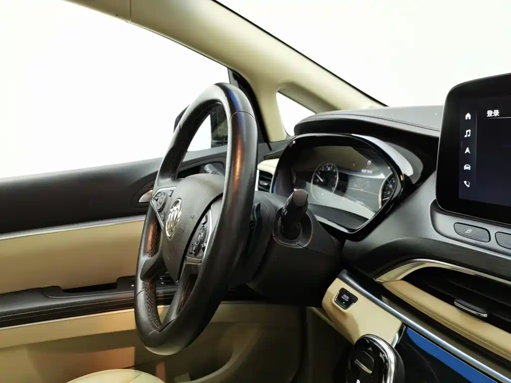 Buick GL8 — миниатюра 22