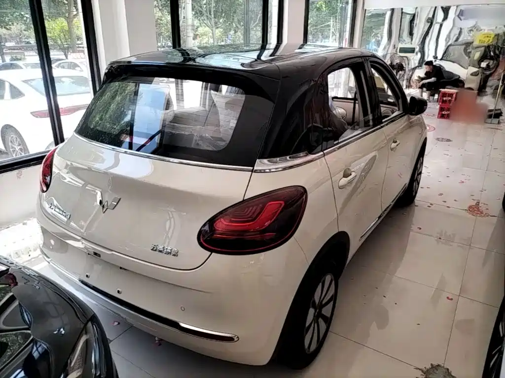 Wuling Binguo 2025 333km Enjoy