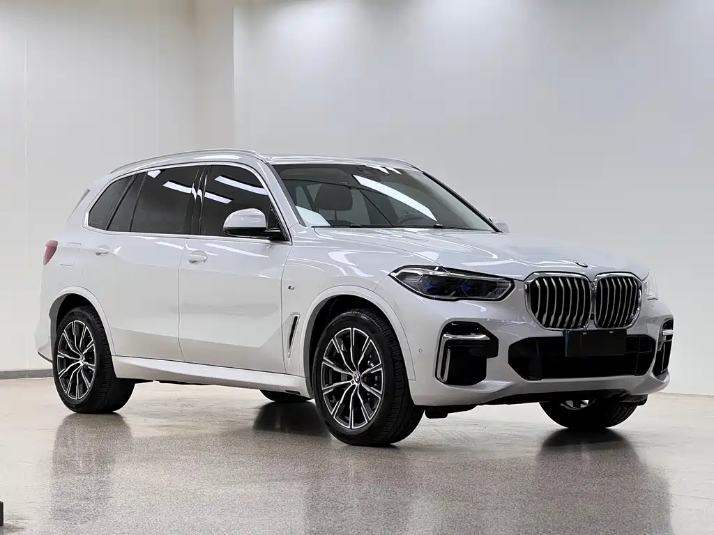 BMW X5 2022 xDrive 30Li M Sport