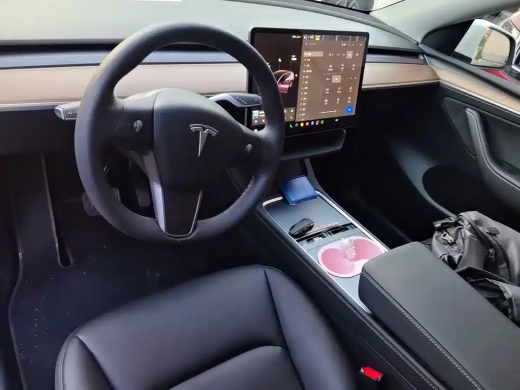 Tesla Model Y — миниатюра 10