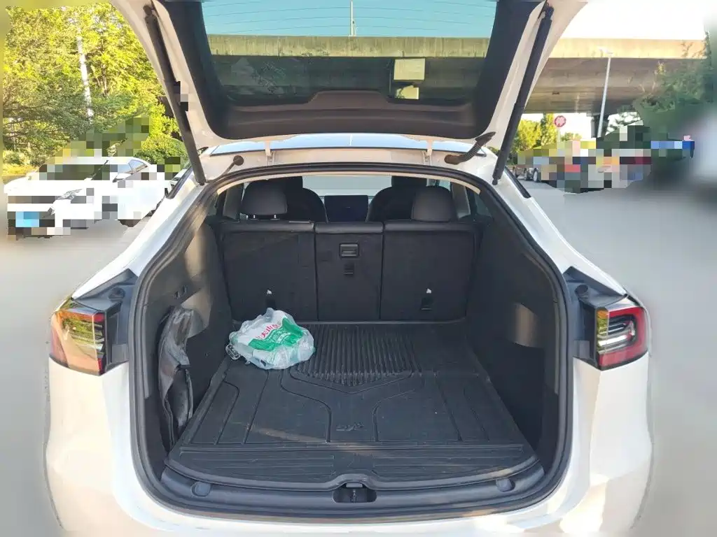 Tesla Model Y — миниатюра 15