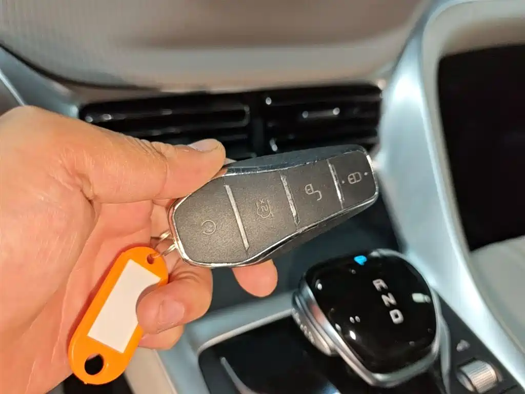 BYD Pro New Energy - фото 17
