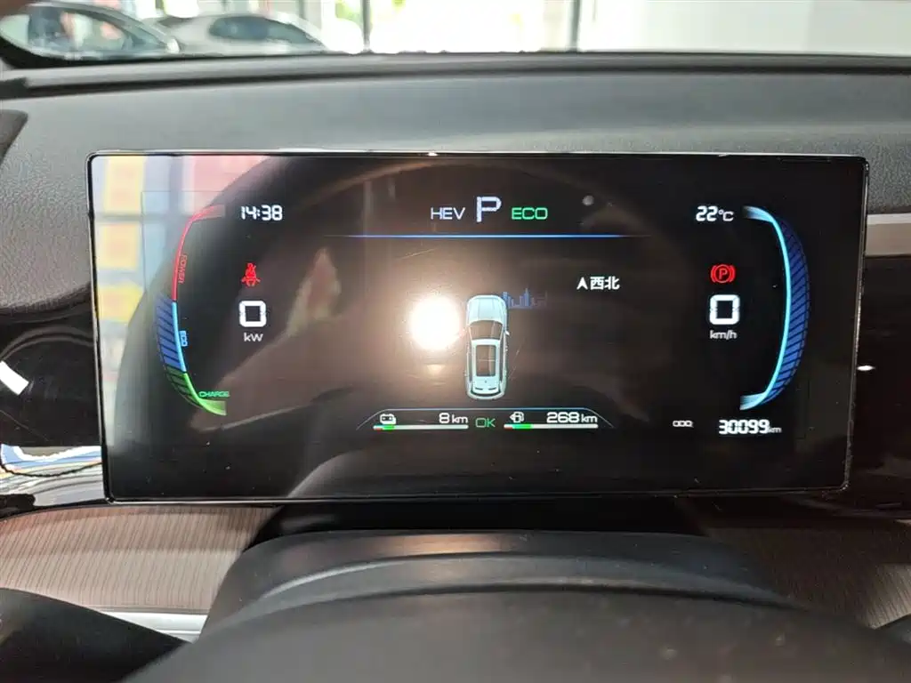 BYD Pro New Energy - фото 8