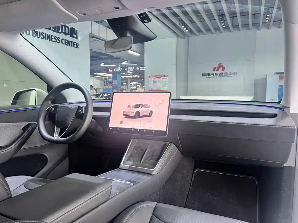 Tesla Model Y — миниатюра 8
