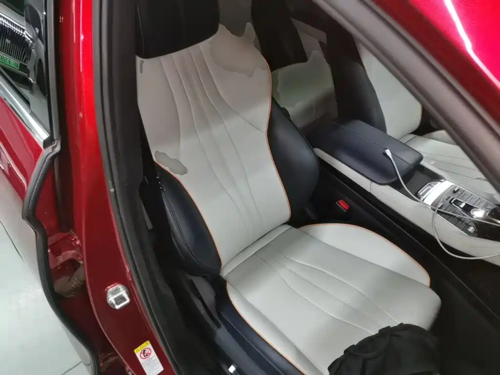 BYD PLUS New Energy — миниатюра 25