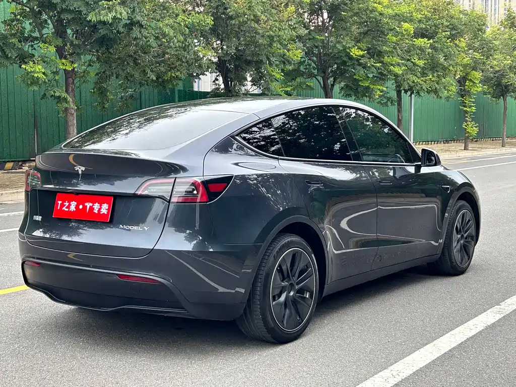 Tesla Model Y — миниатюра 10