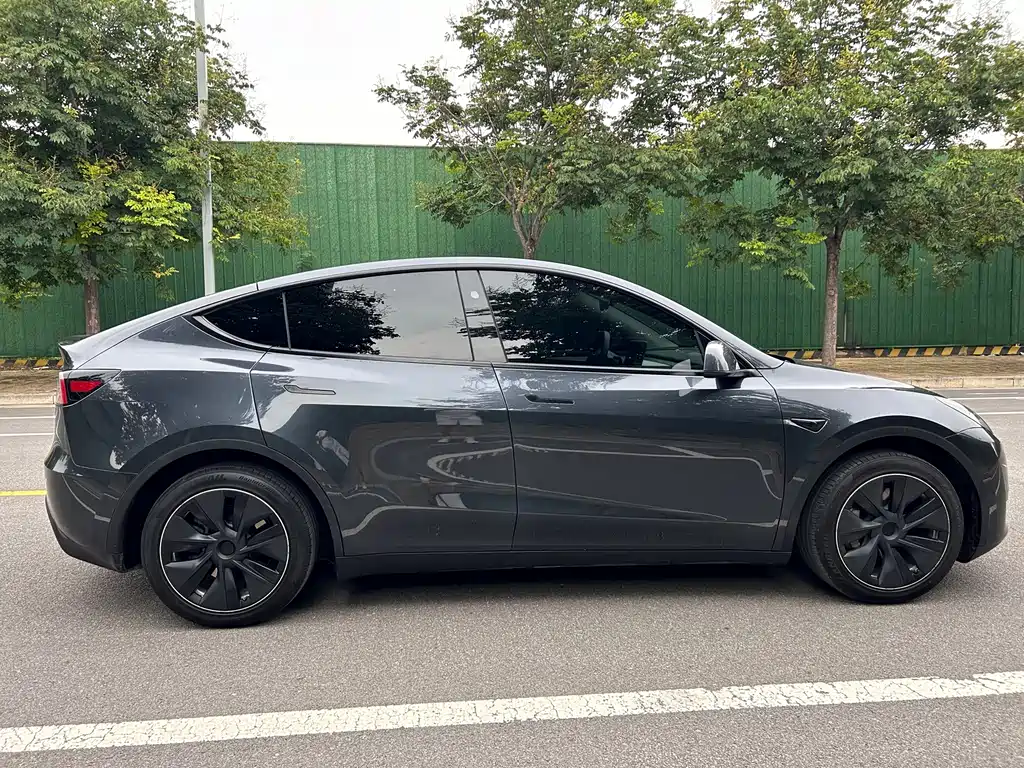Tesla Model Y — миниатюра 11