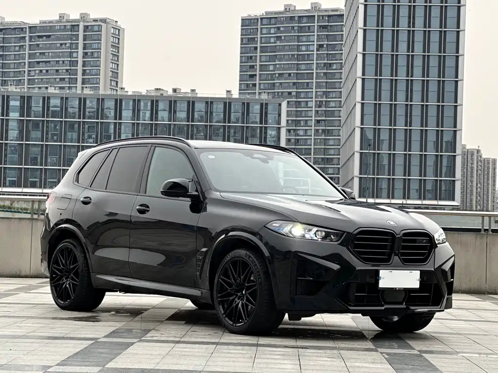 BMW X5 M — миниатюра 3