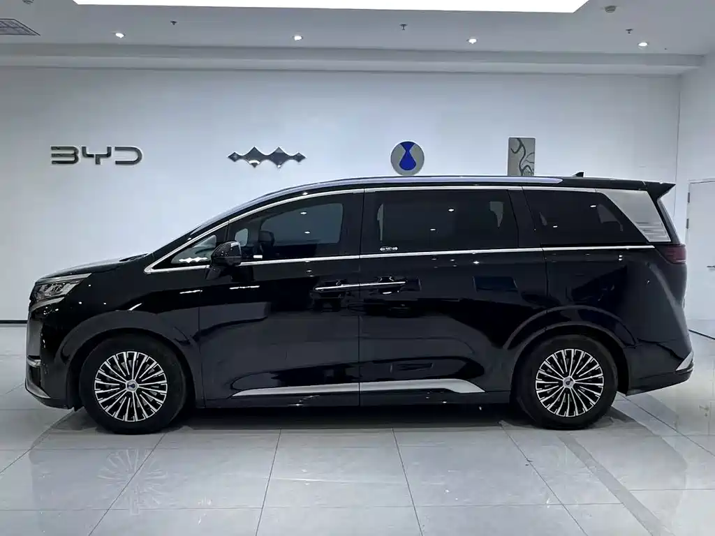 Denza Denza D9 — миниатюра 2