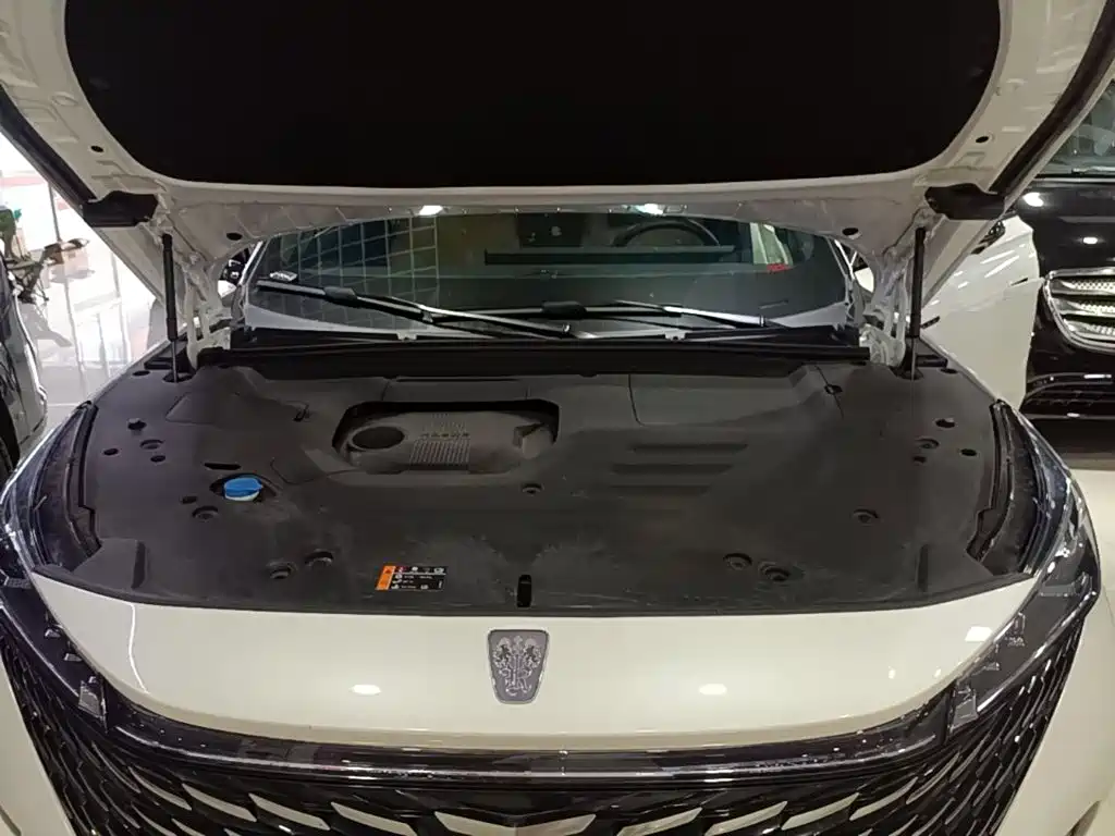 Roewe RX5 — миниатюра 20