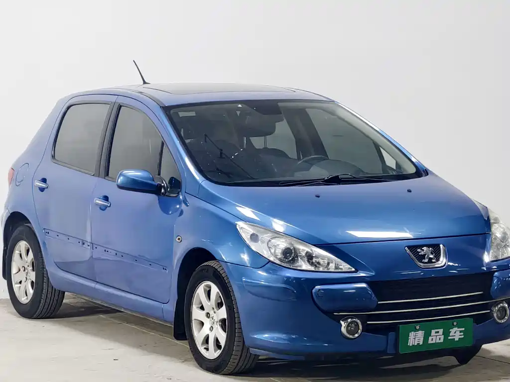 Peugeot 307 — миниатюра 3