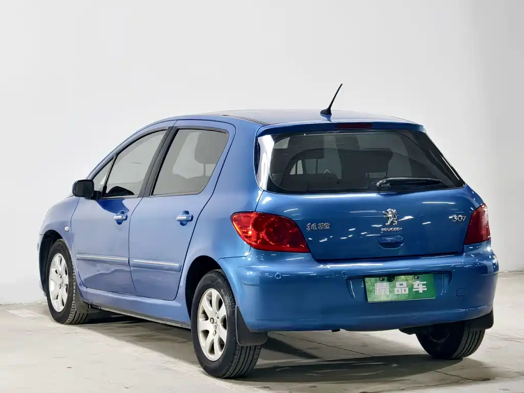 Peugeot 307 — миниатюра 6