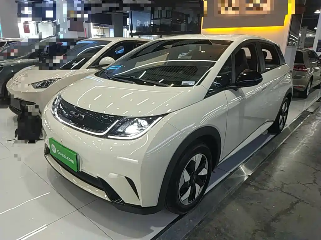 BYD Dolphin — миниатюра 2