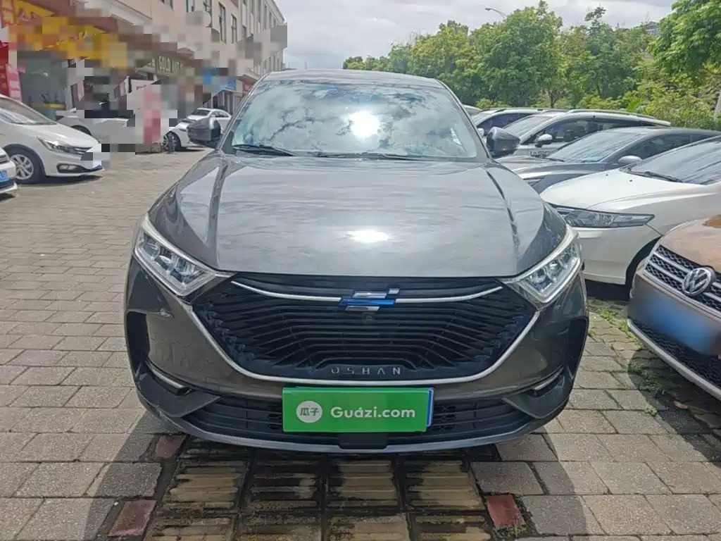 Oshan Oushang X7 — миниатюра 3
