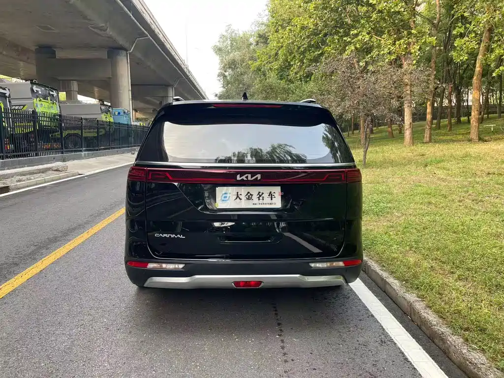 Kia Carnival — миниатюра 19