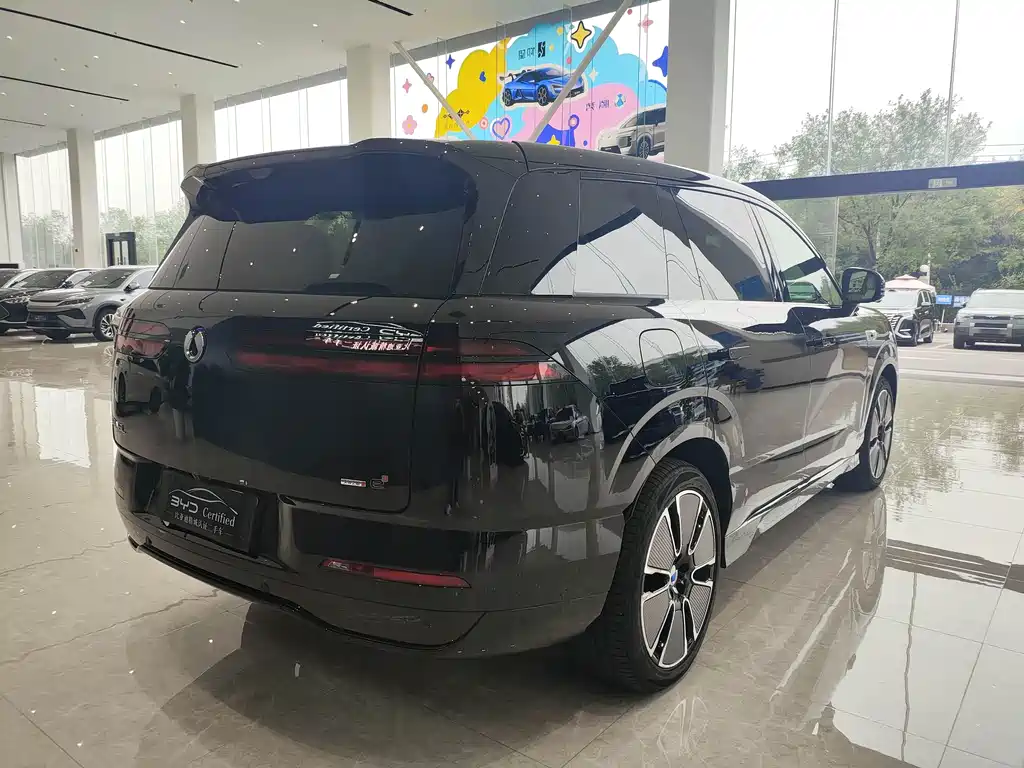 Denza Denza N8L — миниатюра 5
