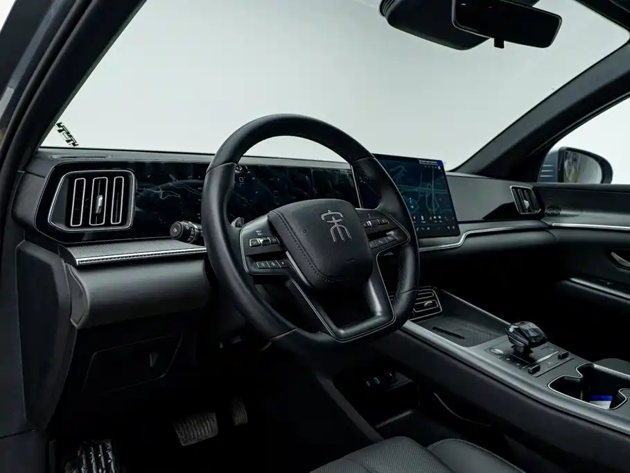 BYD Pro New Energy — миниатюра 10