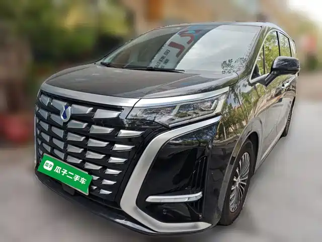 2024 Denza D9