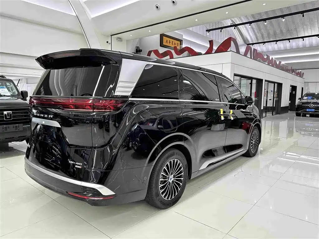 Denza Denza D9 — миниатюра 6
