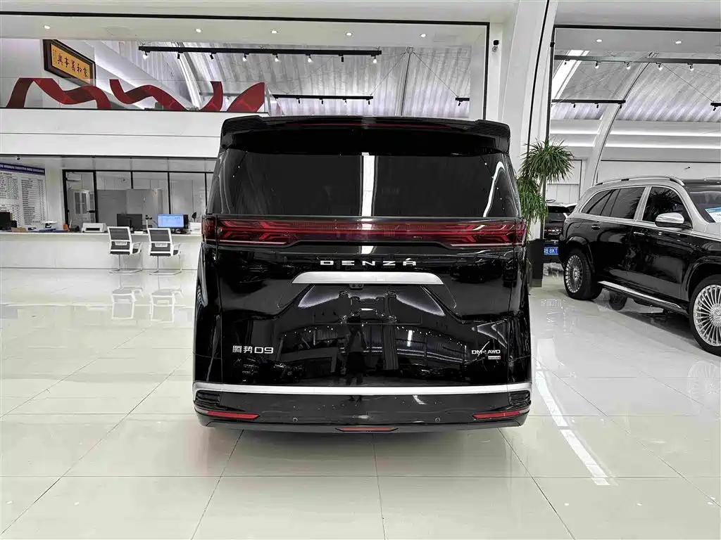 Denza Denza D9 — миниатюра 7