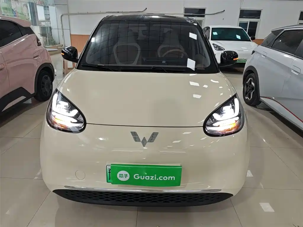 Wuling Binguo 2025 333km