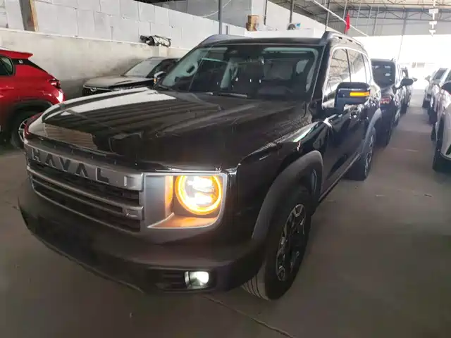 HAVAL  BIG DOG 2024