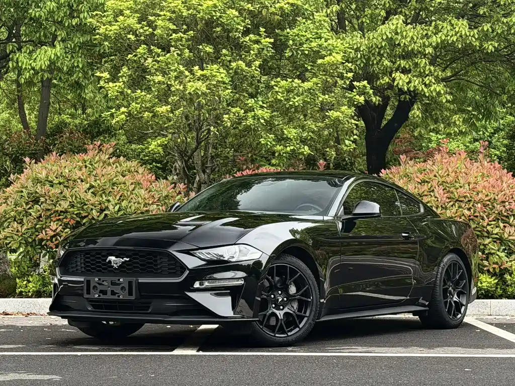 Ford Mustang 2019