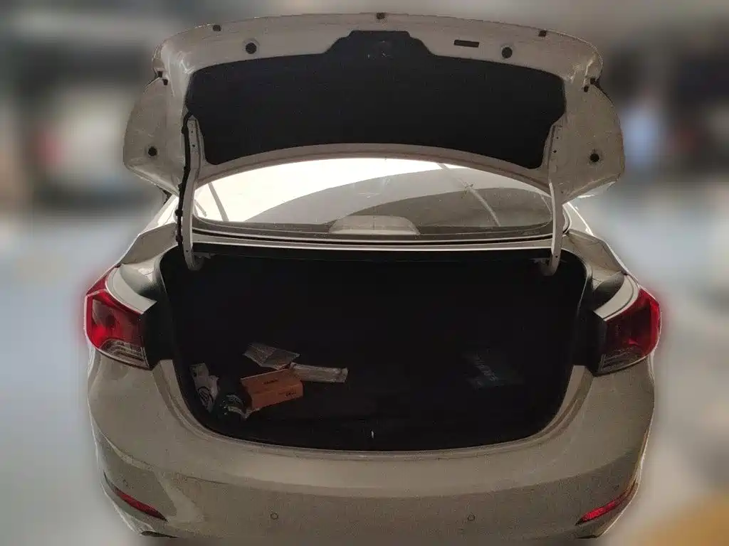 Hyundai Elantra Langdong — миниатюра 15