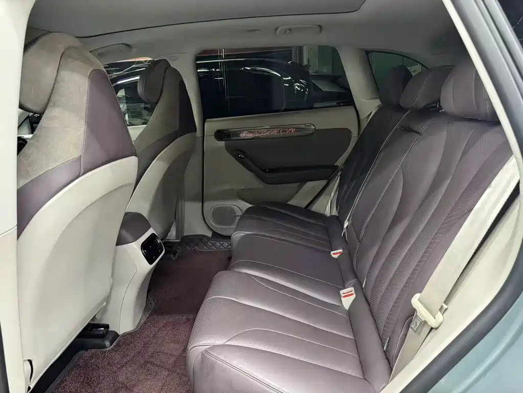 Leapmotor C11 2021 Premium
