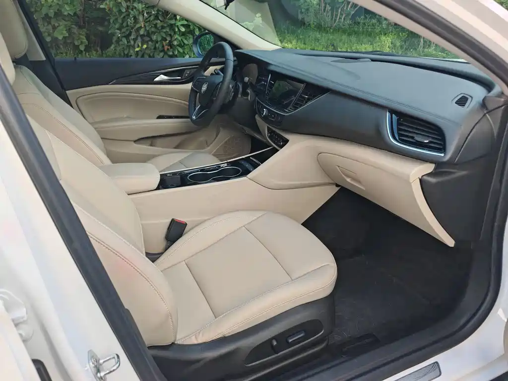 Buick Regal — миниатюра 12