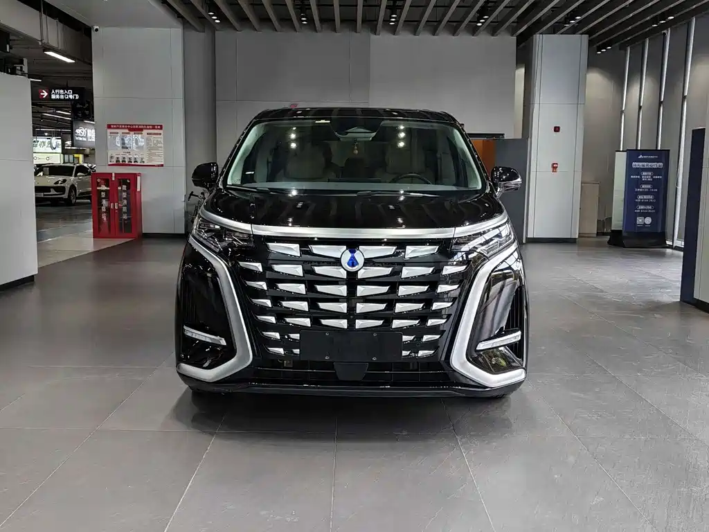 Denza Denza D9 — миниатюра 2