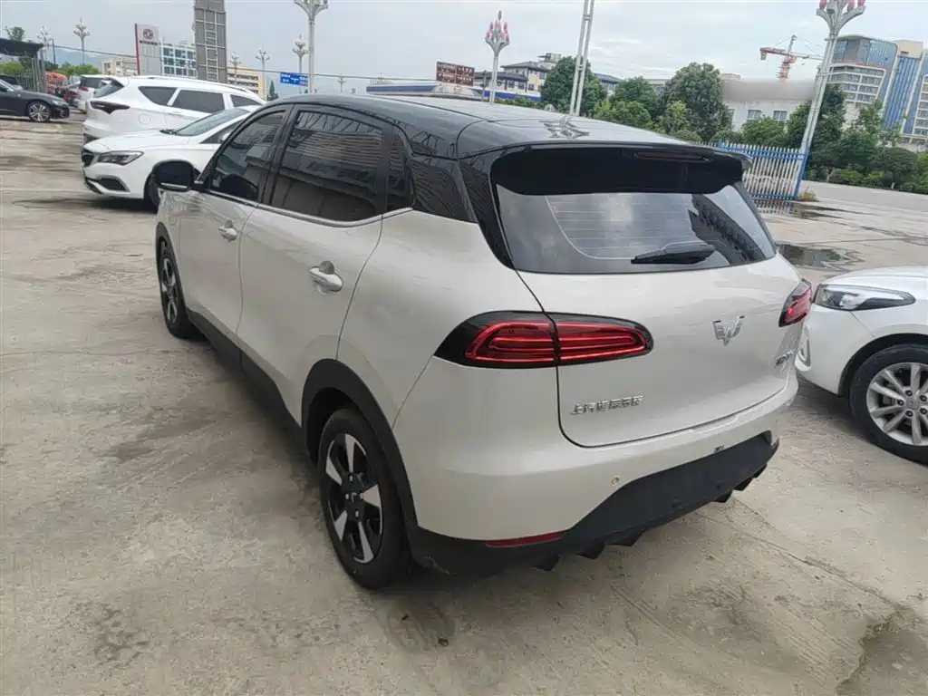 Wuling BinguoPLUS PLUS 2024 510km мест