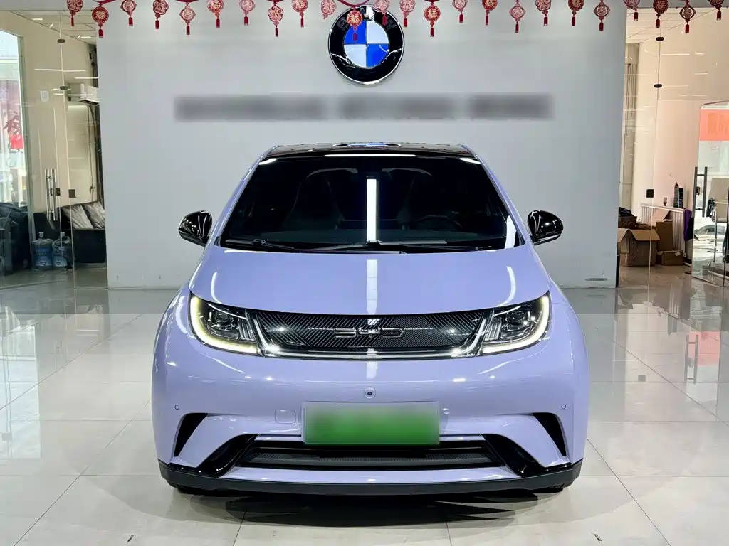 BYD Dolphin — миниатюра 6