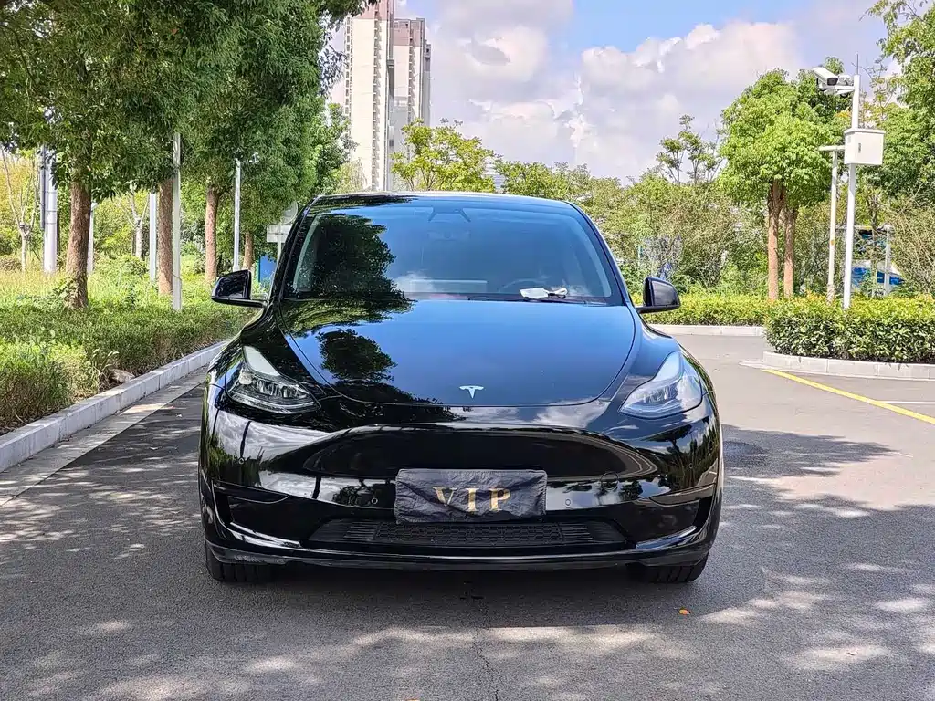 Tesla Model Y — миниатюра 2