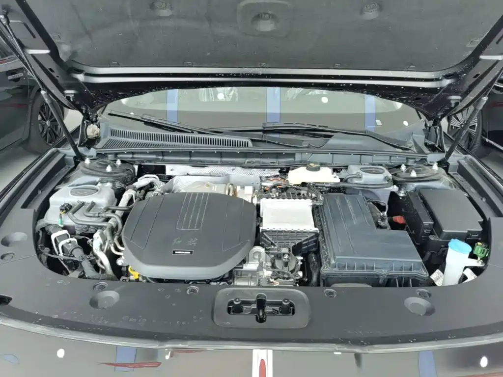 Hongqi Hongqi H5 PHEV — миниатюра 20