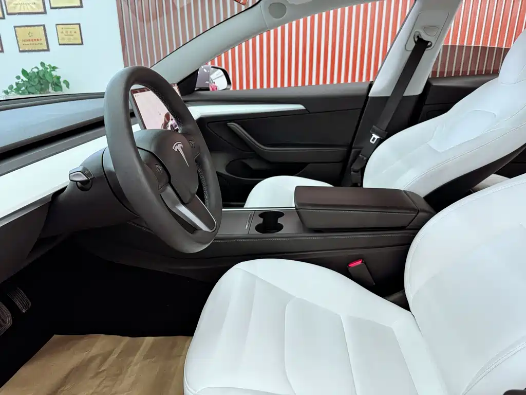 Tesla Model 3 — миниатюра 14