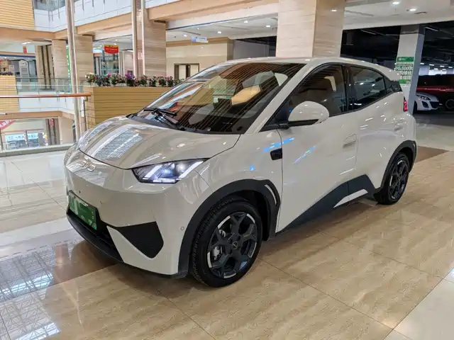2025 BYD Seagull