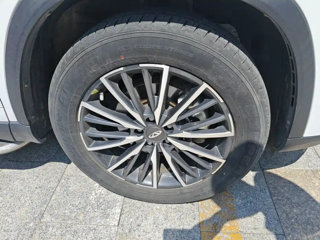 Chery Tiggo 8 PLUS — миниатюра 24