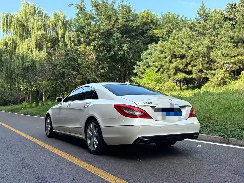 Mercedes-Benz CLS CLS 300 CGI, фото 10