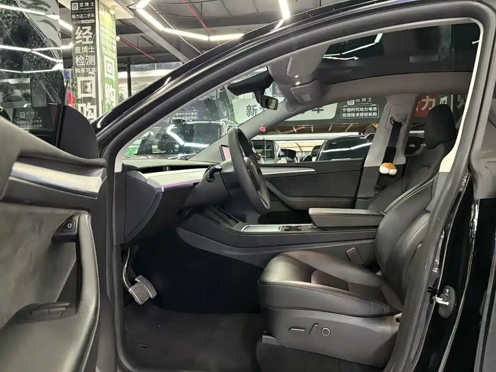 Tesla Model Y — миниатюра 8