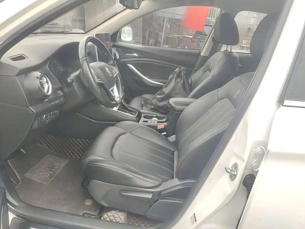 BYD Song — миниатюра 15