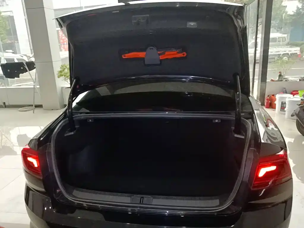 Volkswagen Magotan — миниатюра 19