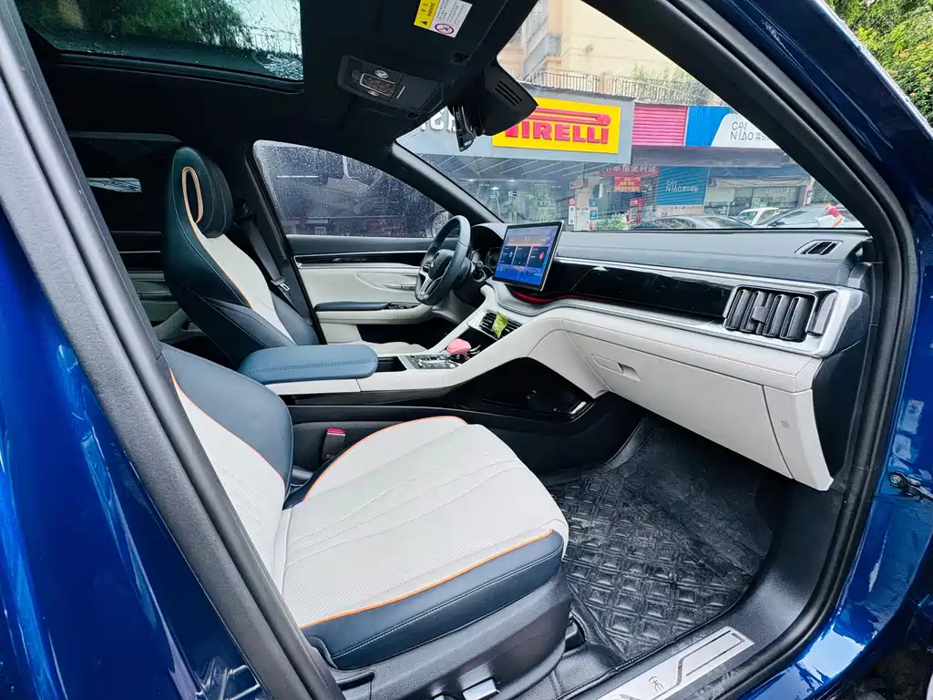 BYD PLUS New Energy — миниатюра 6