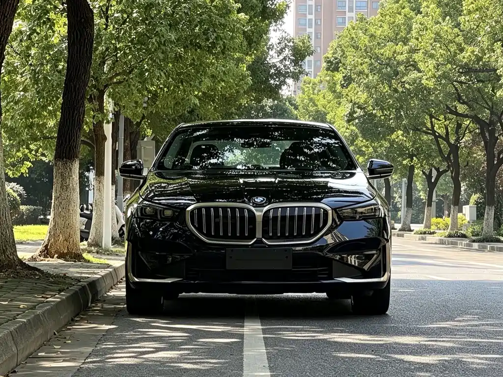 BMW 5 Series — миниатюра 2