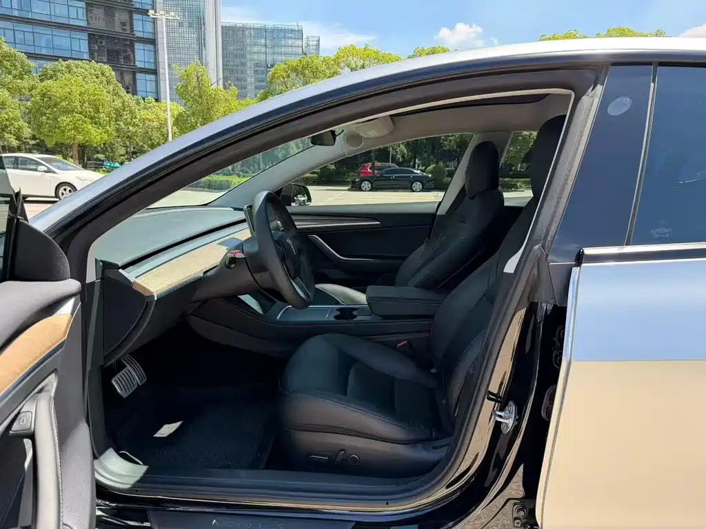 Tesla Model 3 — миниатюра 4