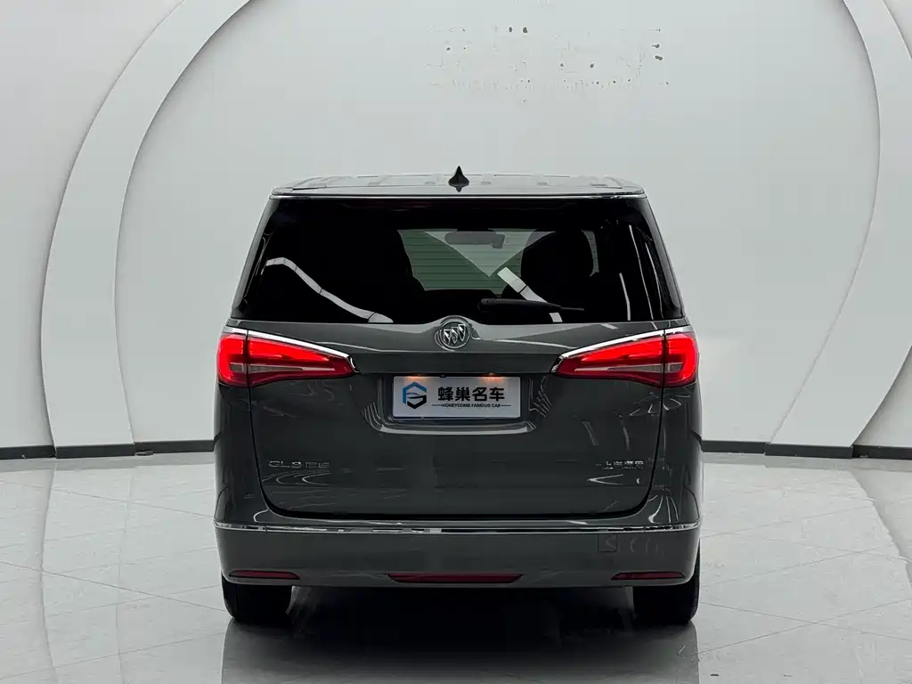 Buick GL8 — миниатюра 15