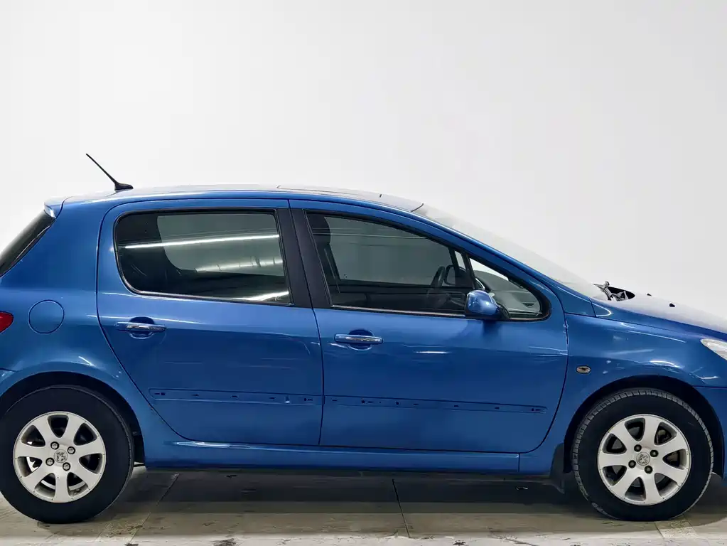 Peugeot 307 — миниатюра 8